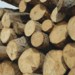 un autocamion plin cu lemne a fost tras pe dreapta de politistii ieseni 68a473d8638b0