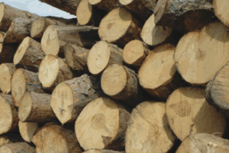 un autocamion plin cu lemne a fost tras pe dreapta de politistii ieseni 68a473d8638b0