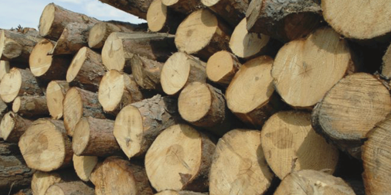 un autocamion plin cu lemne a fost tras pe dreapta de politistii ieseni 68a473d8638b0