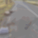 un barbat a fost ucis intr un accident iar soferul a fugit de la locul faptei 68b3fd10e3ca3