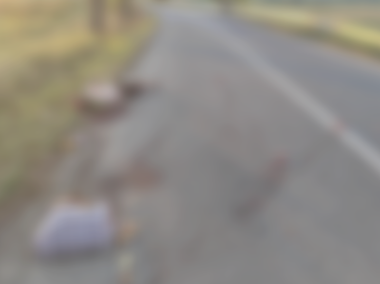 un barbat a fost ucis intr un accident iar soferul a fugit de la locul faptei 68b3fd10e3ca3