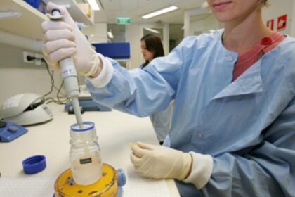 un caz unic in istoria iasului viata dincolo de moarte vaduva care isi cere in instanta dreptul de a deveni mama cu sotul decedat intr un accident rutier 68993d74429e6