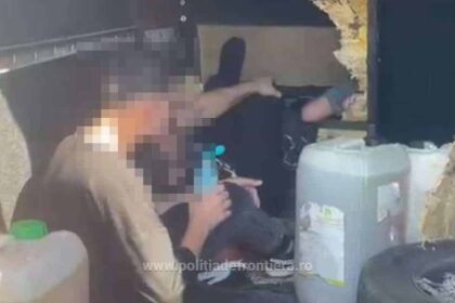 un moldovean si un bulgar arestati in giurgiu dupa ce in microbuzul in care se aflau au fost depistati cinci migranti 6899beda72a3a