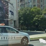 un pui de vulpe a fost legat si tarat de un autoturism pe un bulevard din municipiul iasi 68a30c9e092c6