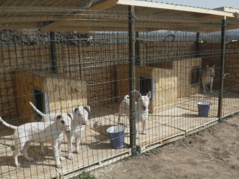 un sfert de milion de lei pentru intocmirea proiectului tehnic aferent padocului metropolitan unde va fi construit 68a7c0f6d07d5