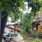 un sofer a ramas blocat in masina din cauza unui arbore prabusit 68935aea86bb5