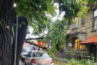 un sofer a ramas blocat in masina din cauza unui arbore prabusit 68935aea86bb5