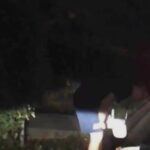 un sofer uber din timisoara cu probleme de vorbire a fost batut cu bestialitate de un pasager care l a crezut beat video 68b185f82fb75