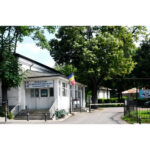 val de internari fara precedent la maternitatea elena doamna 6899fea26623c