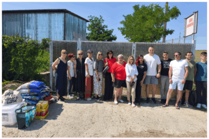 video cateii de la padocul miroslava mananca doar dupa programul primariei zeci de voluntari au ramas in fata portilor incuiate 688e3be6ca657