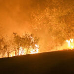 video franta se lupta cu cel mai puternic incendiu de vegetatie de anul acesta ard padurile in sud un mort si 9 raniti 68936d8a9ac00