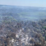 video incendii in delta dunarii sunt afectate aproape 70 de hectare de padure si vegetatie un alt foc a izbucnit in apropiere de plauru 68976f9e7ee94