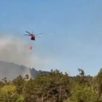 video incendiu de vegetatie in judetul tulcea flacari pe 6 hectare in zona chilia veche elicopter black hawk trimis la interventie 6890ec34c6616
