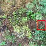 video o brigada militara ucraineana a publicat un videoclip socant in care apar femei ruse luptand in unitati de asalt din prima linie 68908d5cd125b