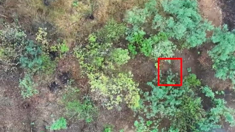 video o brigada militara ucraineana a publicat un videoclip socant in care apar femei ruse luptand in unitati de asalt din prima linie 68908d5cd125b