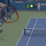 video un fotograf a intrat pe teren in timpul meciului dintre daniil medvedev si benjamin bonzi de la us open rusul si a pierdut cumpatul 68ac439e1e2e2