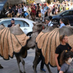 videofoto protest cu camile la budapesta fermierii trag un semnal de alarma asupra pericolului desertificarii ungariei 68950193465f2