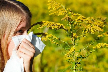 alergiile confundate adesea cu raceala florin rosu problema apare atunci cand parintii aleg sa administreze copiilor antibiotice 68c75ba5014a5