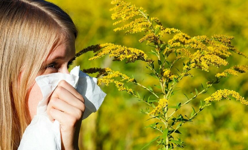 alergiile confundate adesea cu raceala florin rosu problema apare atunci cand parintii aleg sa administreze copiilor antibiotice 68c75ba5014a5