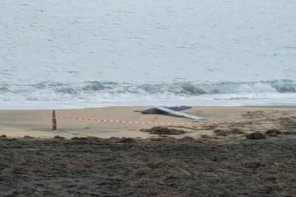 alerta in apropiere de romania o drona necunoscuta a fost gasita pe plaja militarii investigheaza originea 68c4700665b1b