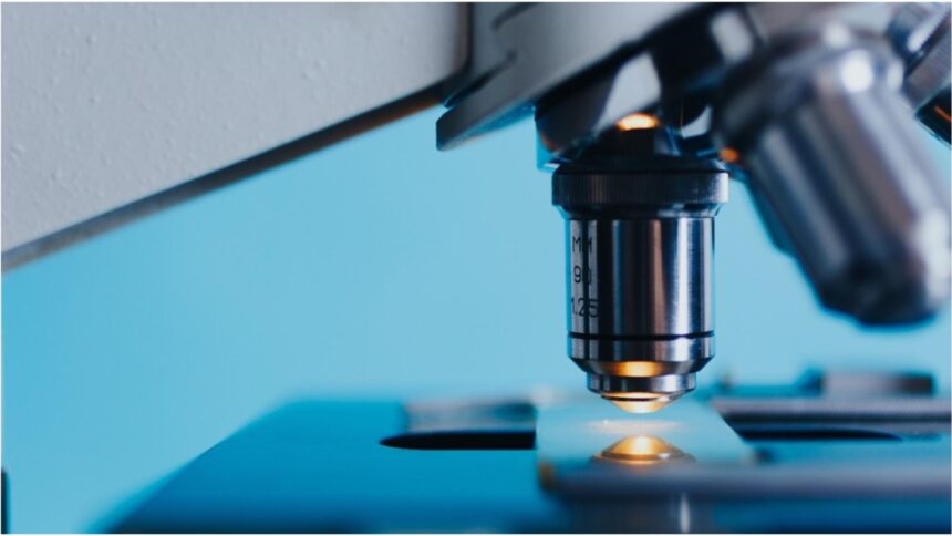 analizele de sange care iti salveaza viata depisteaza riscul de boli de inima cu mult inainte sa apara primele simptome 68c70cfdd2a49