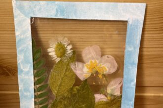 ancaar iasi lanseaza proiectul natura creativa terapie ocupationala si stimulare multisenzoriala prin materiale naturale 68cd4a4cdb9c6