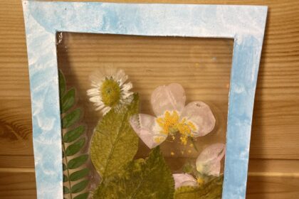 ancaar iasi lanseaza proiectul natura creativa terapie ocupationala si stimulare multisenzoriala prin materiale naturale 68cd4a4cdb9c6