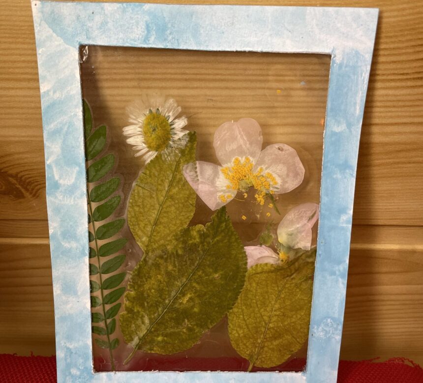 ancaar iasi lanseaza proiectul natura creativa terapie ocupationala si stimulare multisenzoriala prin materiale naturale 68cd4a4cdb9c6