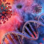 ancheta fda privind vaccinurile covid 19 descoperirea adn ului rezidual atrage atentia expertilor 68d5ae737f3f2