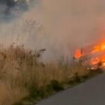 barbat retinut dupa ce a provocat un incendiu masiv de vegetatie intre bucuresti si ilfov motivul pentru care a recurs la acest gest i a lasat cu gura cascata pe politisti 68c81a4cb37ba