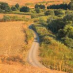 cand va avea loc echinoctiul de toamna si ce se va intampla din punct de vedere astral odata cu acest eveniment zodiile afectate 68c9233902186