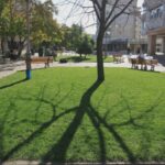 cat de verde este iasul datele statistice arata o realitate cel putin surprinzatoare 68bad2b31d1ad