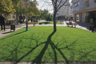 cat de verde este iasul datele statistice arata o realitate cel putin surprinzatoare 68bad2b31d1ad