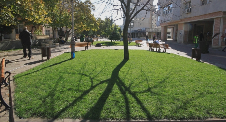 cat de verde este iasul datele statistice arata o realitate cel putin surprinzatoare 68bad2b31d1ad