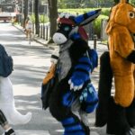 caz neobisnuit la iasi adolescentul care se identifica cu bugs bunny ce inseamna pentru psihologi fenomenul furry 68d87ef21bbb9