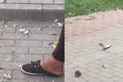 ce a patit femeia care a ucis si a mancat un porumbel in centrul iasului 68c44f39bc31e