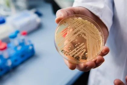 ce este candidozyma auris imuna la multiple medicamente si care se raspandeste in romania 68c2cc85c4854