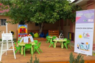 ce mare retailer sta in spatele unui proiect inedit a transformat un copac din curtea gradinitei miroslava intr un spatiu de invatare vor urca in nuc 200 de copii 68d4e9905550e