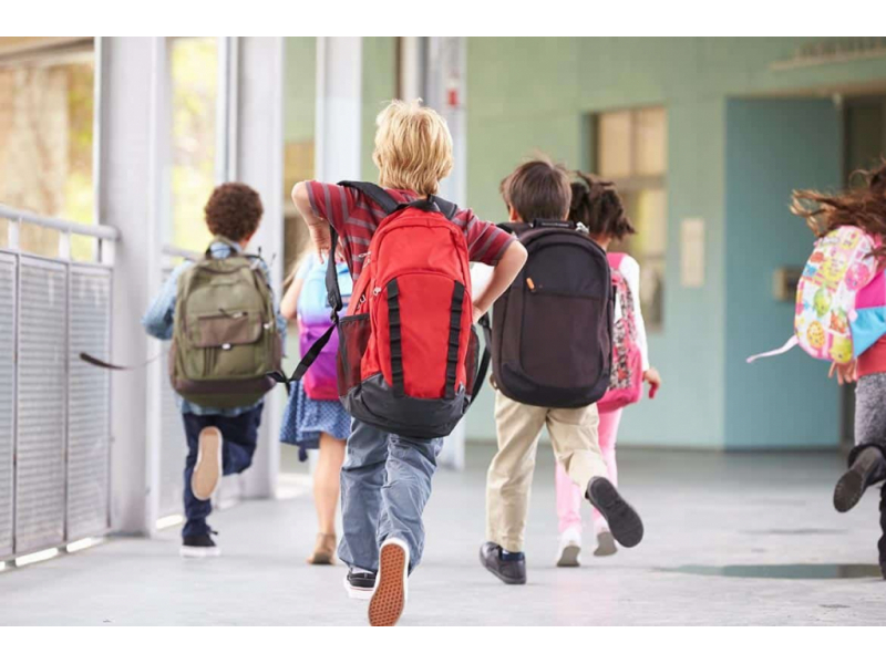 clopotelul suna alarma scoala gratuita costa 10 000 lei pe an 68bd40859b4bc