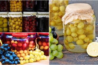 compot de struguri ca la mama acasa reteta simpla fara conservanti perfecta pentru iarna 68c97c5f64488