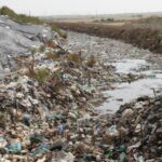 cosmarul reciclarii in capitala doar 15 din deseuri sunt tratate garda de mediu a aplicat amenzi de peste 400 000 de lei 68c43af32cd94