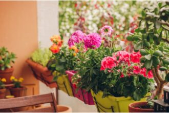 cum protejezi florile din balcon de inghetul timpuriu secretul gradinarilor cu eperienta pentru a le mentine sanatoase pana la primavara 68dc03b56fd73