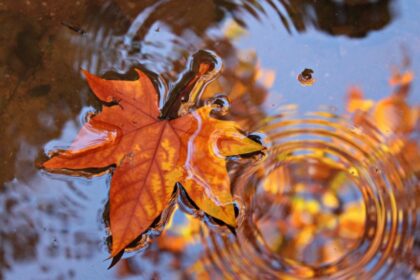 cum va fi vremea in septembrie prognoza meteo pe doua saptamani 68bebacdca7e1