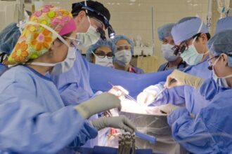 cursa contra cronometru pentru medicii din iasi doi donatori de organe in moarte cerebrala in mai putin de 48 de ore ce organe au fost prelevate 68cbc09973d82