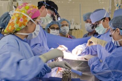 cursa contra cronometru pentru medicii din iasi doi donatori de organe in moarte cerebrala in mai putin de 48 de ore ce organe au fost prelevate 68cbc09973d82