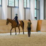 cursuri de echitatie si activitati pentru public la baza hipica a usv iasi 68bac0bdbbee4