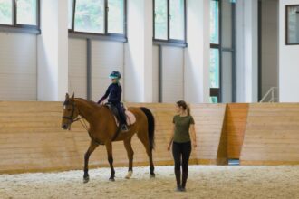 cursuri de echitatie si activitati pentru public la baza hipica a usv iasi 68bac0bdbbee4