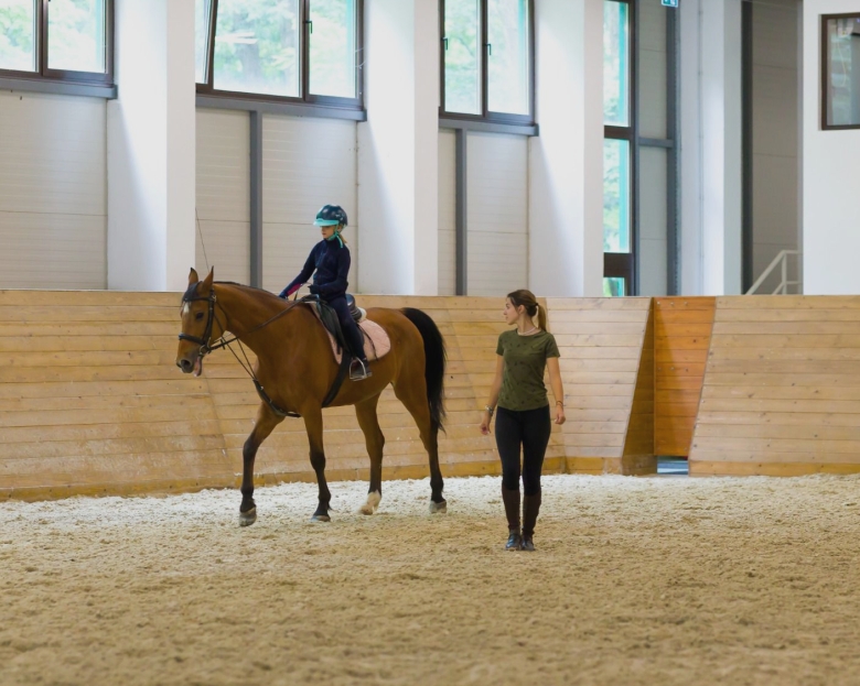 cursuri de echitatie si activitati pentru public la baza hipica a usv iasi 68bac0bdbbee4