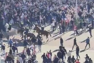 doi oficiali de la ajax amsterdam agresati la meciul cu psv 68dad48d5a6a6