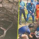 experienta uimitoare a unei femei de 48 de ani a supravietuit 54 de ore intr o fantana plina de serpi agatata de pereti 68db959fb95d9